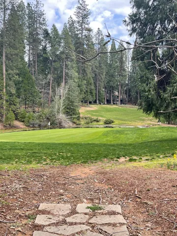 $15,000 | 386 Buckthorn Drive, Murphys, CA 95247