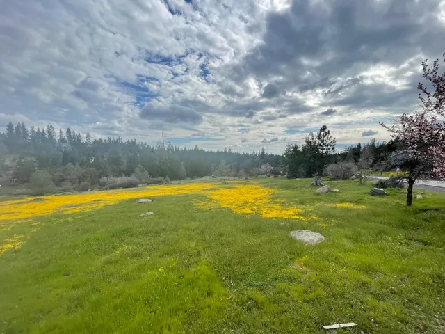 $15,000 | 386 Buckthorn Drive, Murphys, CA 95247