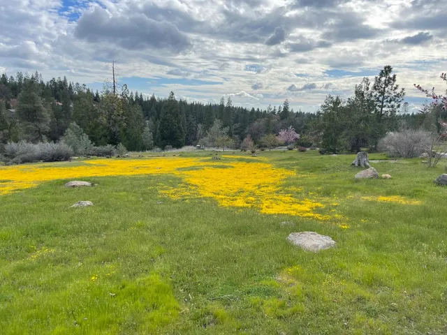 $15,000 | 386 Buckthorn Drive, Murphys, CA 95247