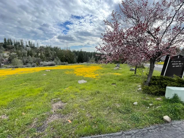 $15,000 | 386 Buckthorn Drive, Murphys, CA 95247