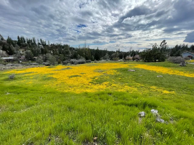 $15,000 | 386 Buckthorn Drive, Murphys, CA 95247