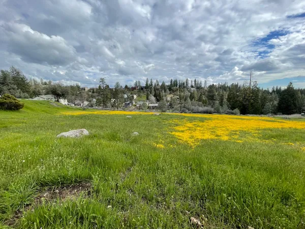 a view of a big yard with lots of green space