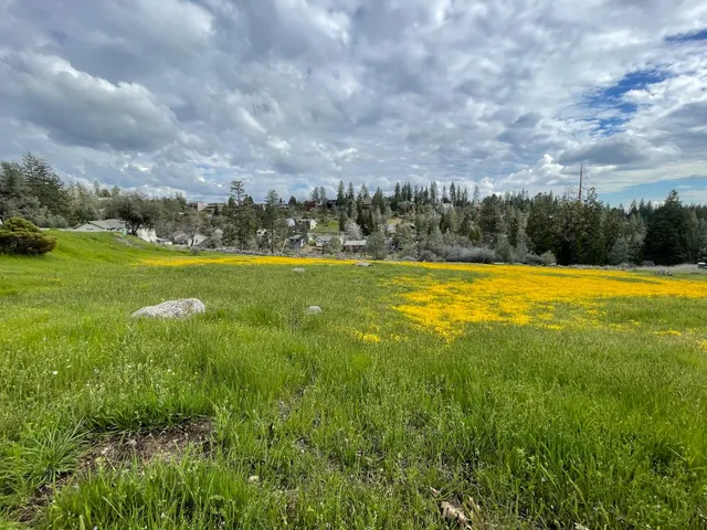 $15,000 | 386 Buckthorn Drive, Murphys, CA 95247