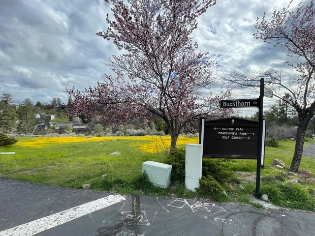 $15,000 | 386 Buckthorn Drive, Murphys, CA 95247