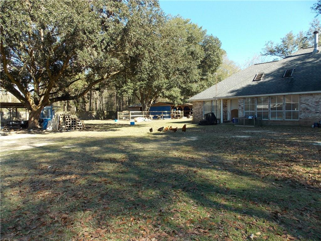 29249 Ironwood Road Livingston, LA 70754 - Photo 11 of 56