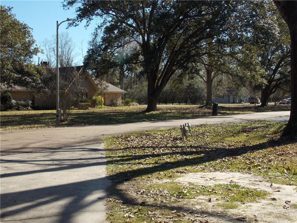 29249 Ironwood Road Livingston, LA 70754 - Photo 5 of 56