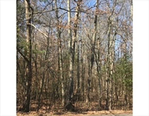 Lot 17 Russellville Road Westfield, MA 01085 - Photo 1 of 2 Gallery Image 1