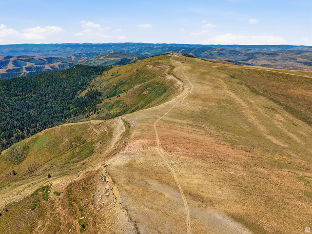 10780 Ford Ridge Road Helper, UT 84526 - Photo 24 of 38 Expansive mountain terrain with a visible track and distant forest