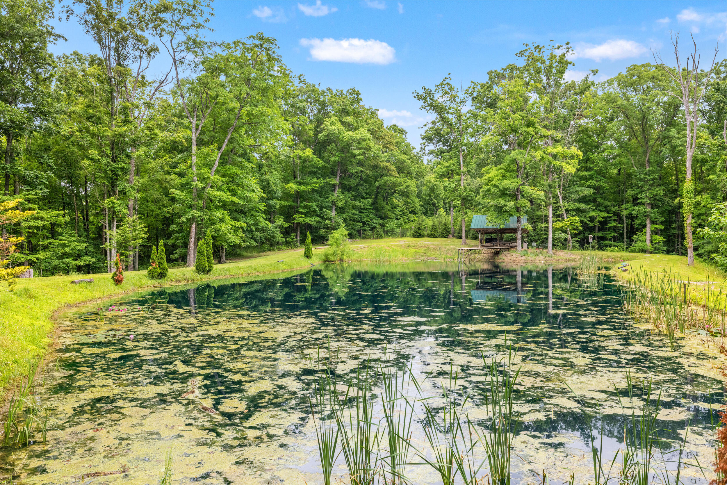 1564 High Ridge Road Middleburg, KY 42541 - Photo 73 of 79 64_1h4a4753