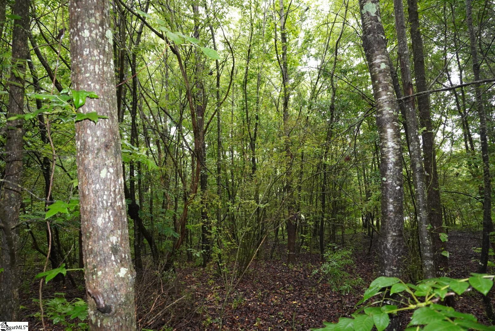 175 Stewart Lake Road Pelzer, SC 29669 - Photo 5 of 18