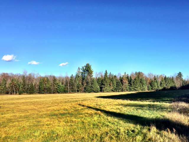On Gouda Road Tomahawk, WI 54487 - Photo 16 of 16 Gallery Image 16