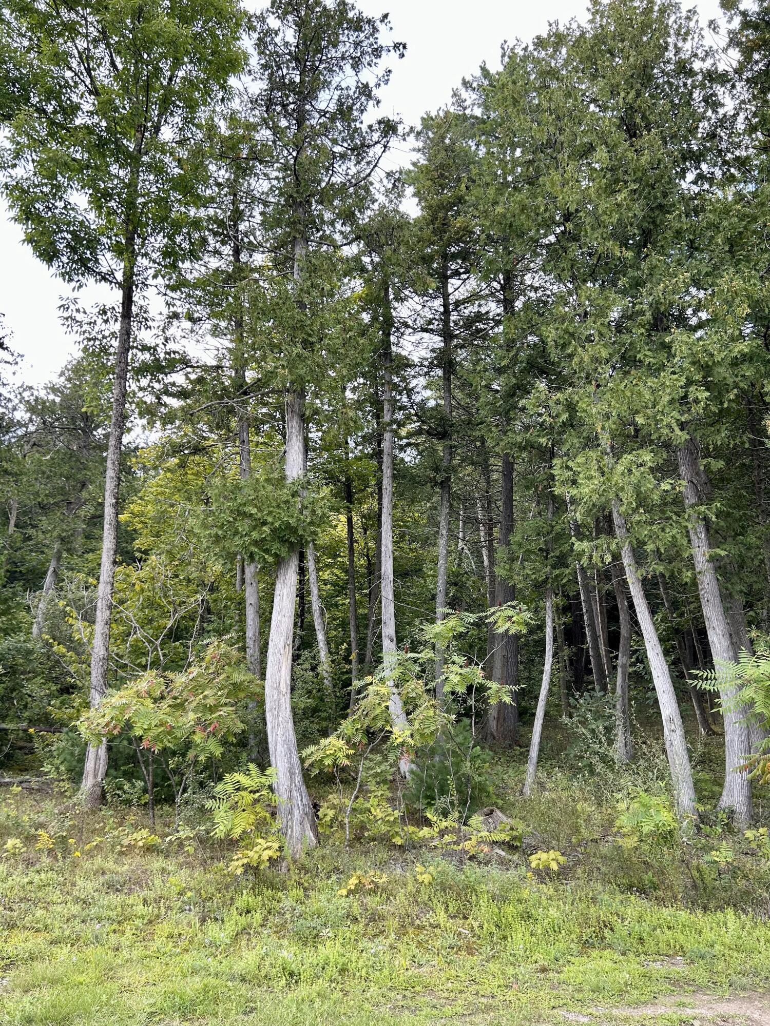 0 Bluff Point Drive Plattsburgh, NY 12901 - Photo 7 of 21 9
