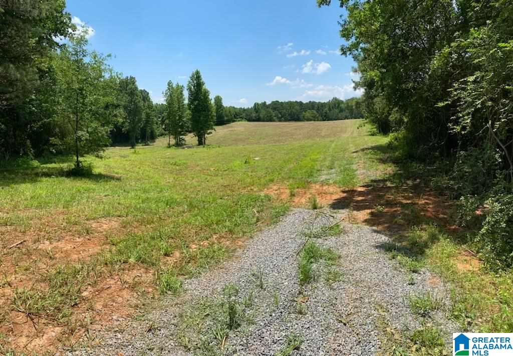 0 Runway Drive, Unit 1 Hayden, AL 35079 - Photo 4 of 9