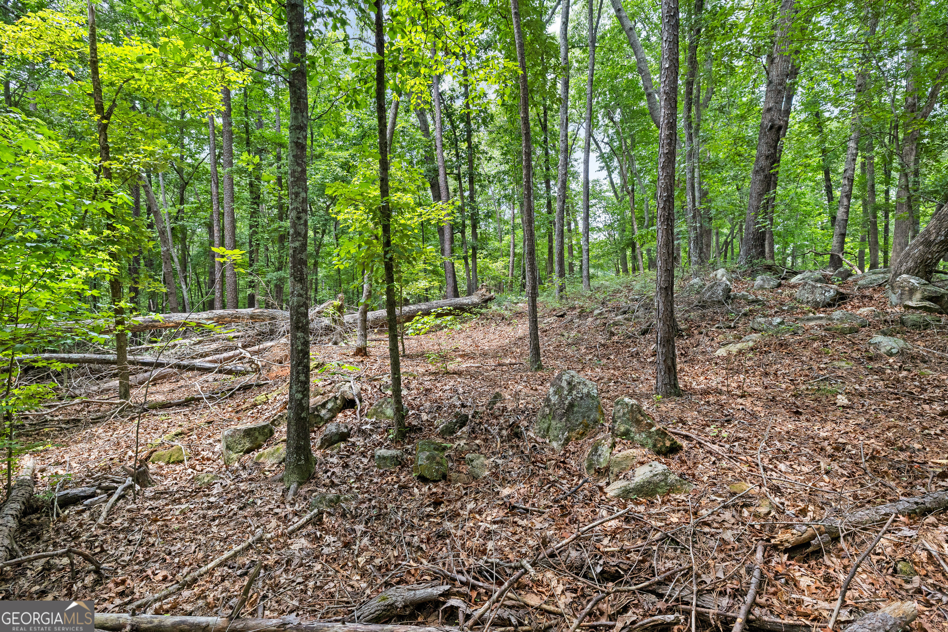 0 Terry Road Fairburn, GA 30213 - Photo 17 of 22