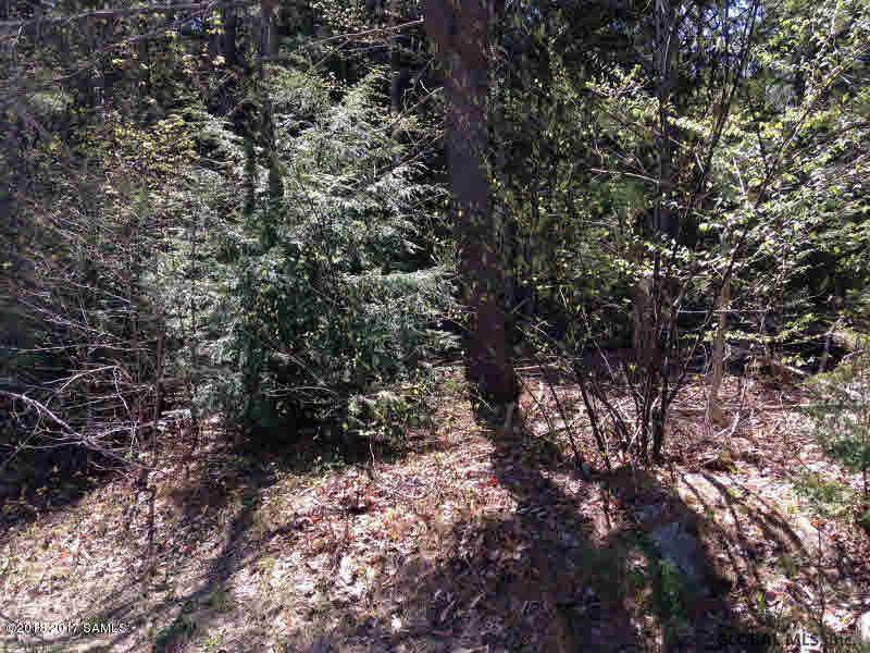 817 Zaltz Road Athol, NY 12810 - Photo 7 of 8 Photo 7