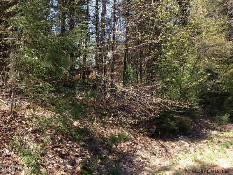 817 Zaltz Road Athol, NY 12810 - Photo 8 of 8 Photo 8