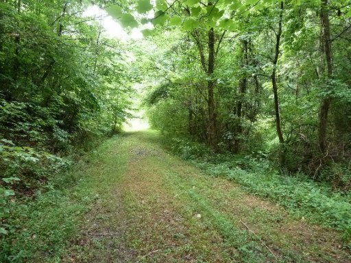 509 Pumpkin Hollow Road Heiskell, TN 37754 - Photo 16 of 19 Additional Photo