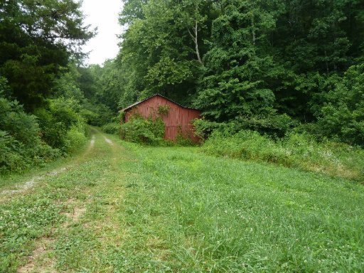 509 Pumpkin Hollow Road Heiskell, TN 37754 - Photo 18 of 19 Additional Photo