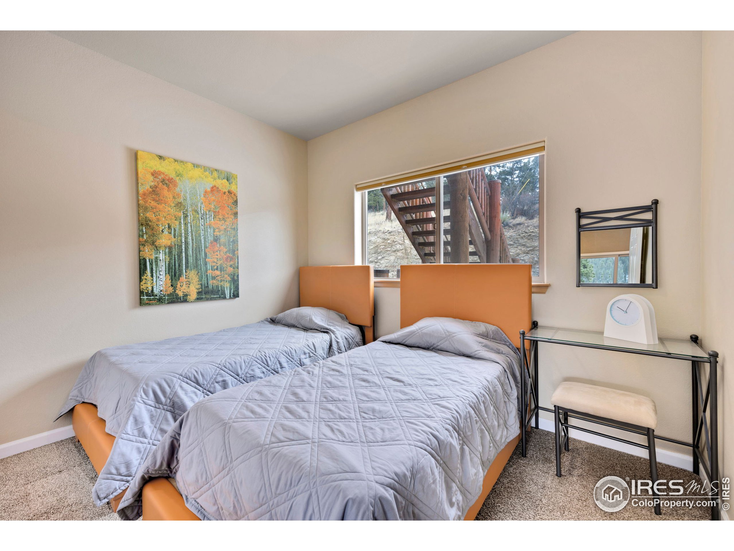305 Virginia Road Bailey, CO 80421 - Photo 24 of 39 Gallery Image 24
