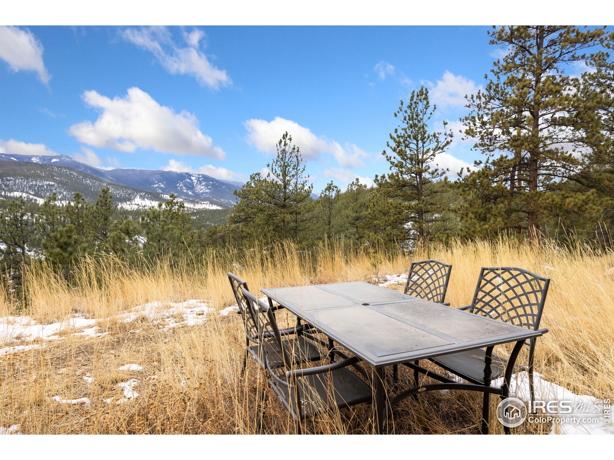 305 Virginia Road Bailey, CO 80421 - Photo 31 of 39 Gallery Image 31