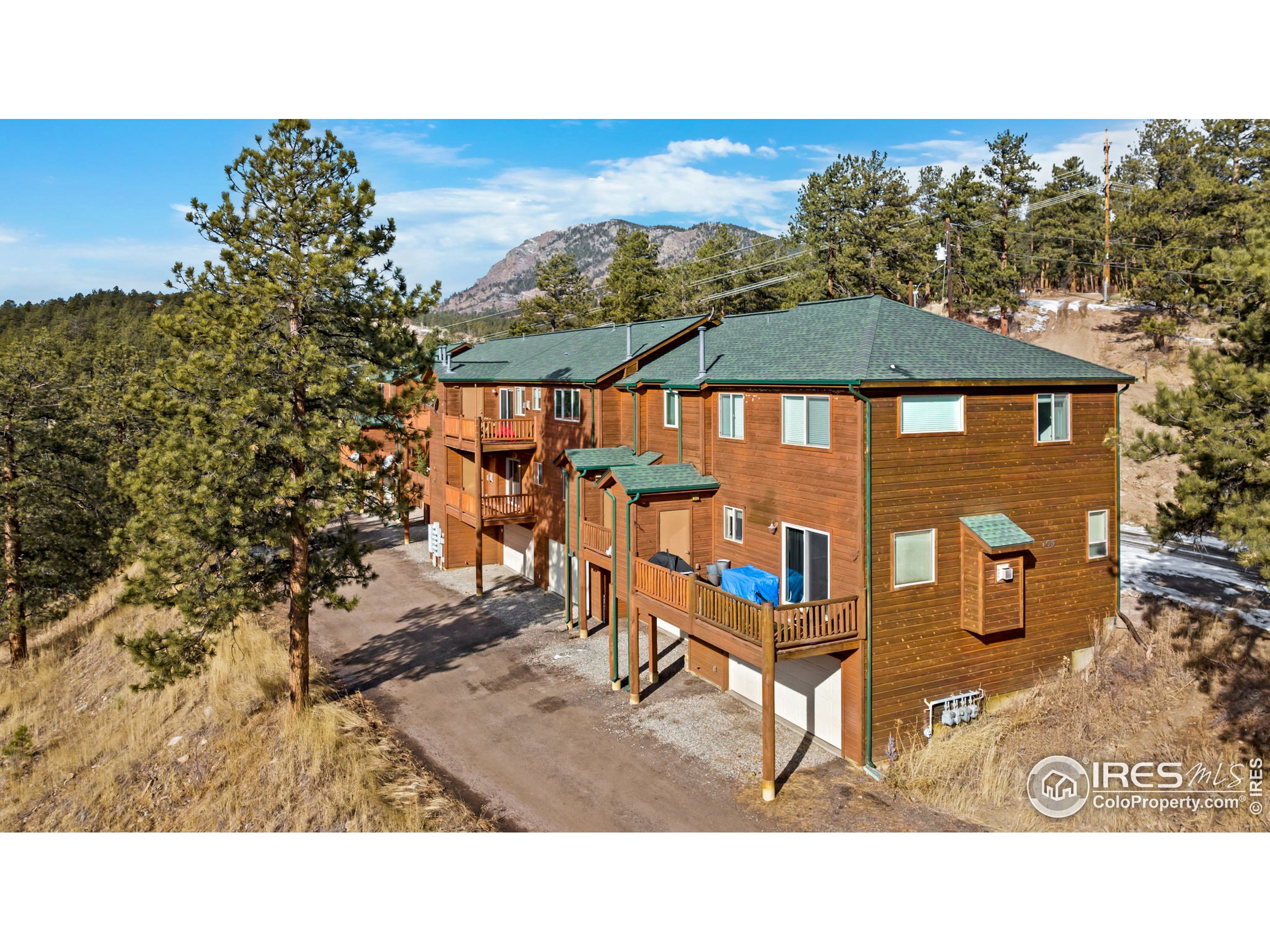 305 Virginia Road Bailey, CO 80421 - Photo 36 of 39 Gallery Image 36