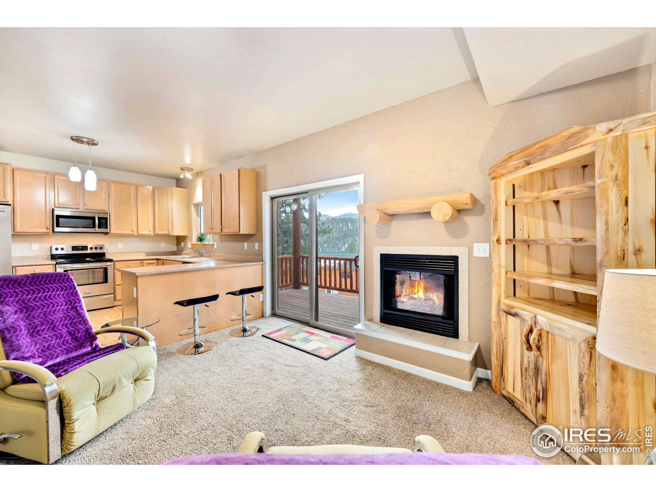 305 Virginia Road Bailey, CO 80421 - Photo 7 of 39 Gallery Image 7