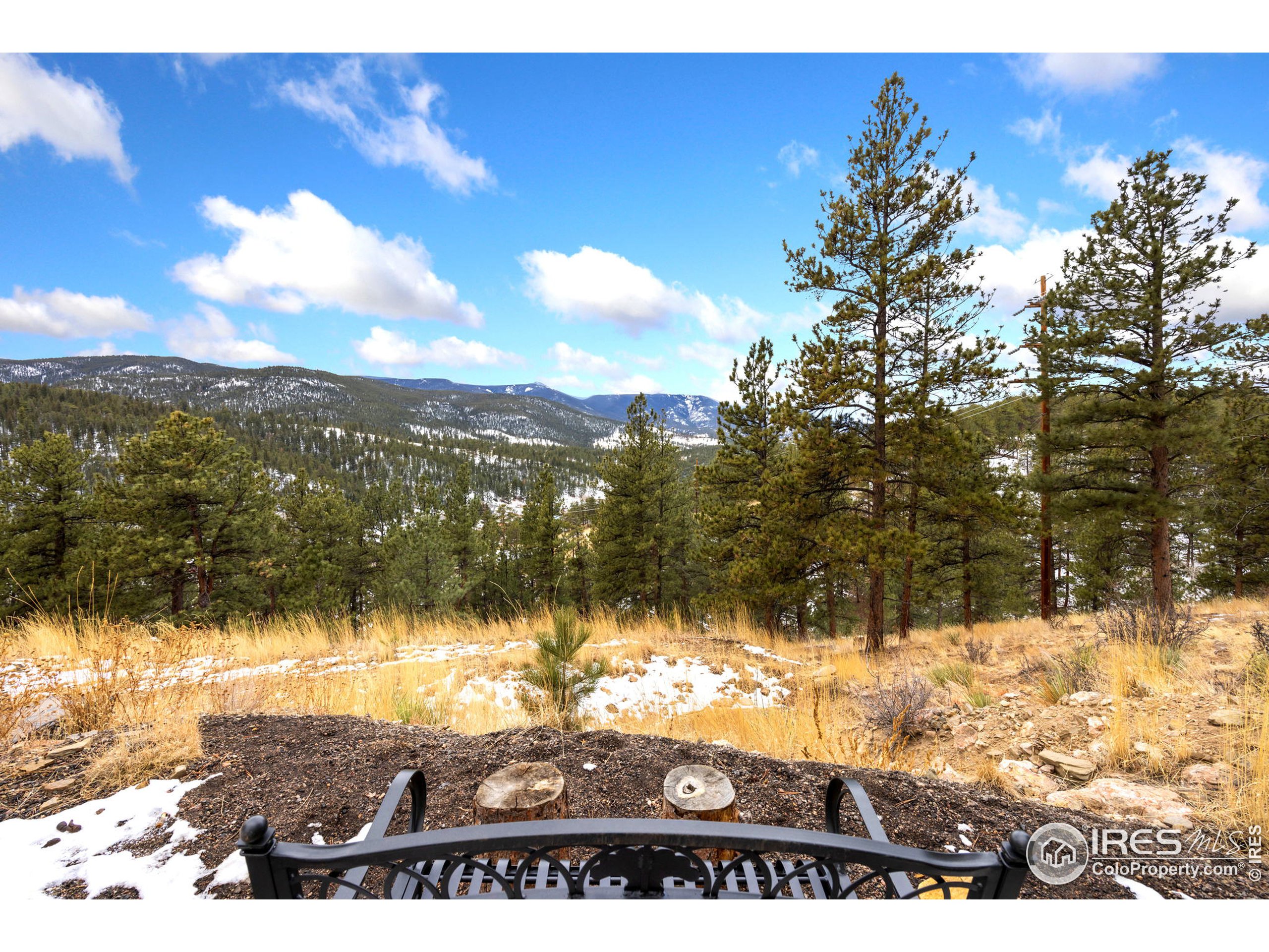 305 Virginia Road Bailey, CO 80421 - Photo 8 of 39 Gallery Image 8
