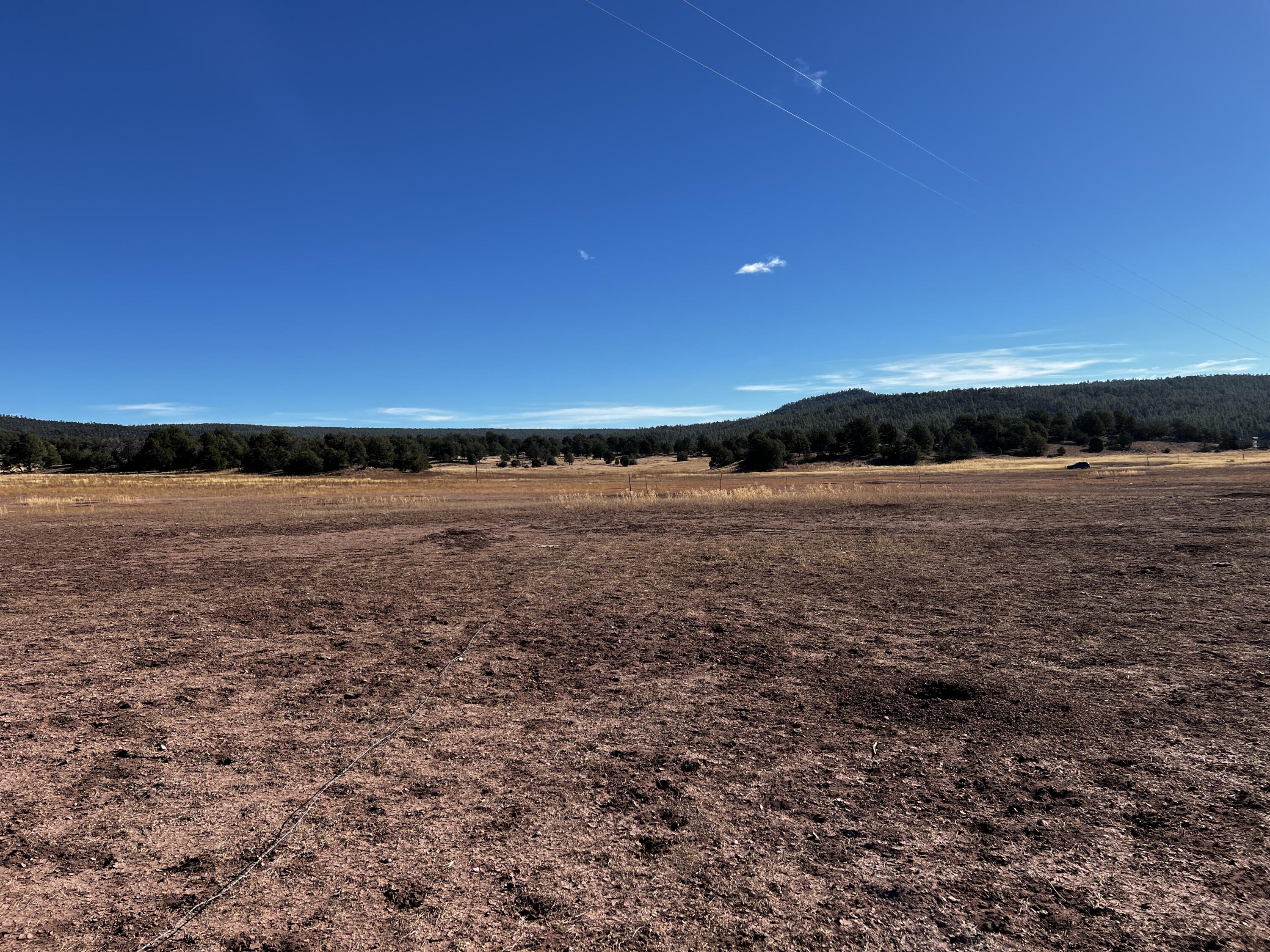Lot 2 Lot Road Ramah, NM 87321 - Photo 11 of 21 Gallery Image 11