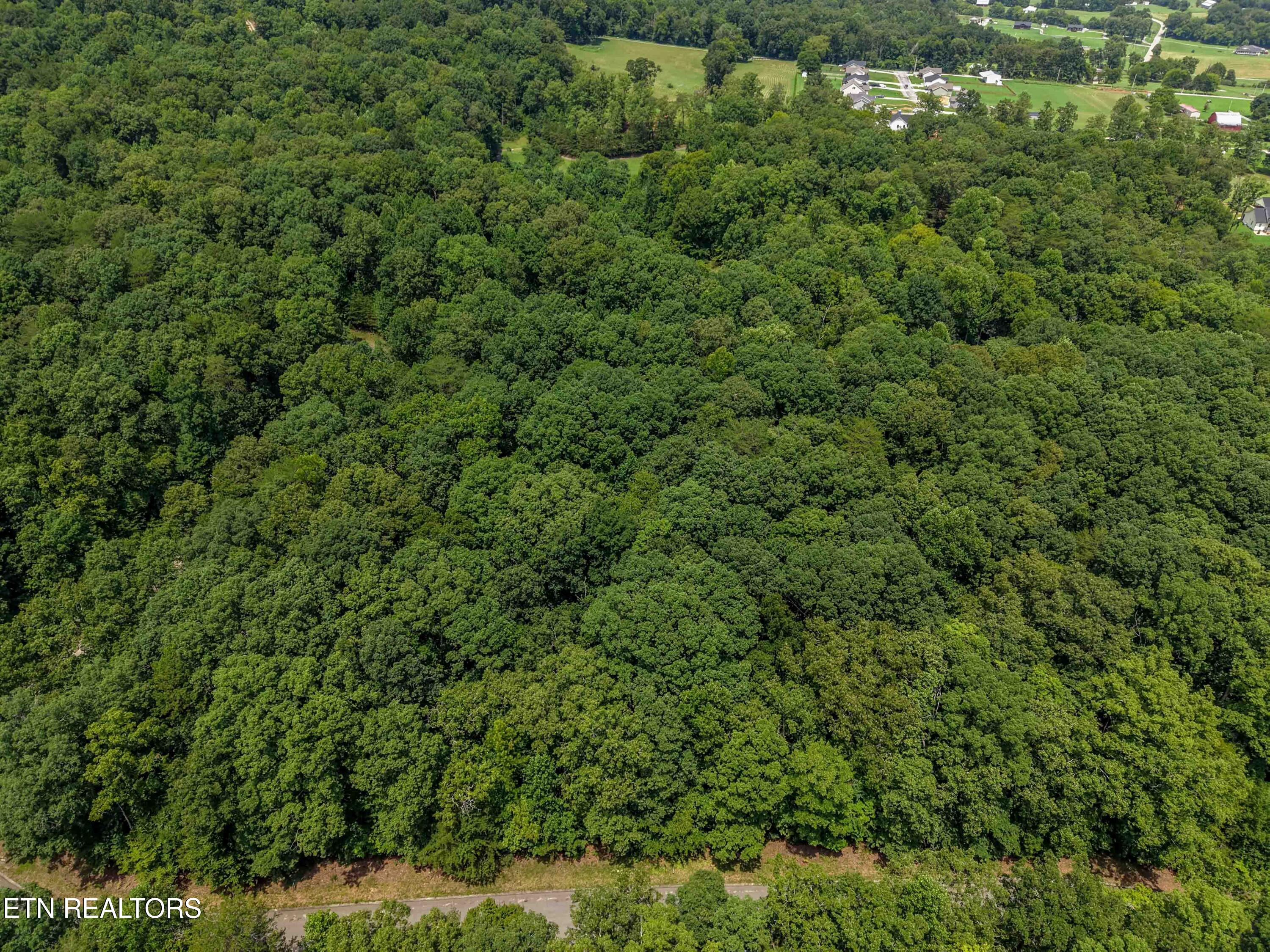 138 Lot Road Dunlap, TN 37327 - Photo 8 of 8 10 Low Brow Rd. Lot 138