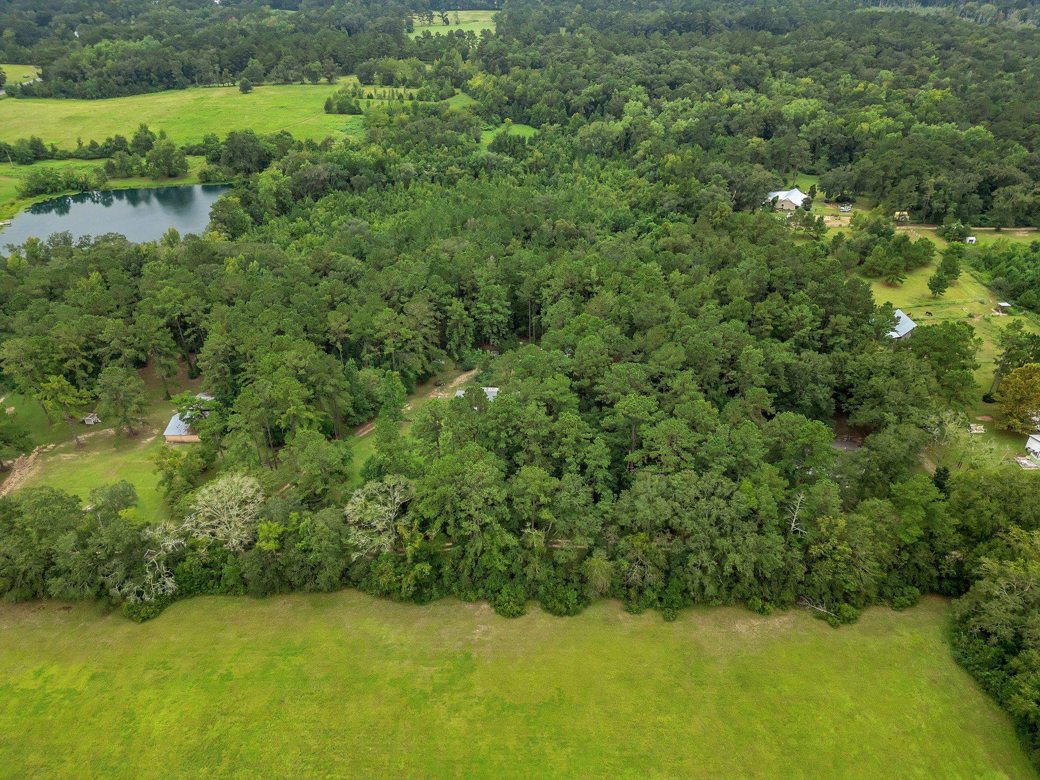 265 Ritchie Lane Havana, FL 32333 - Photo 2 of 28 Gallery Image 2
