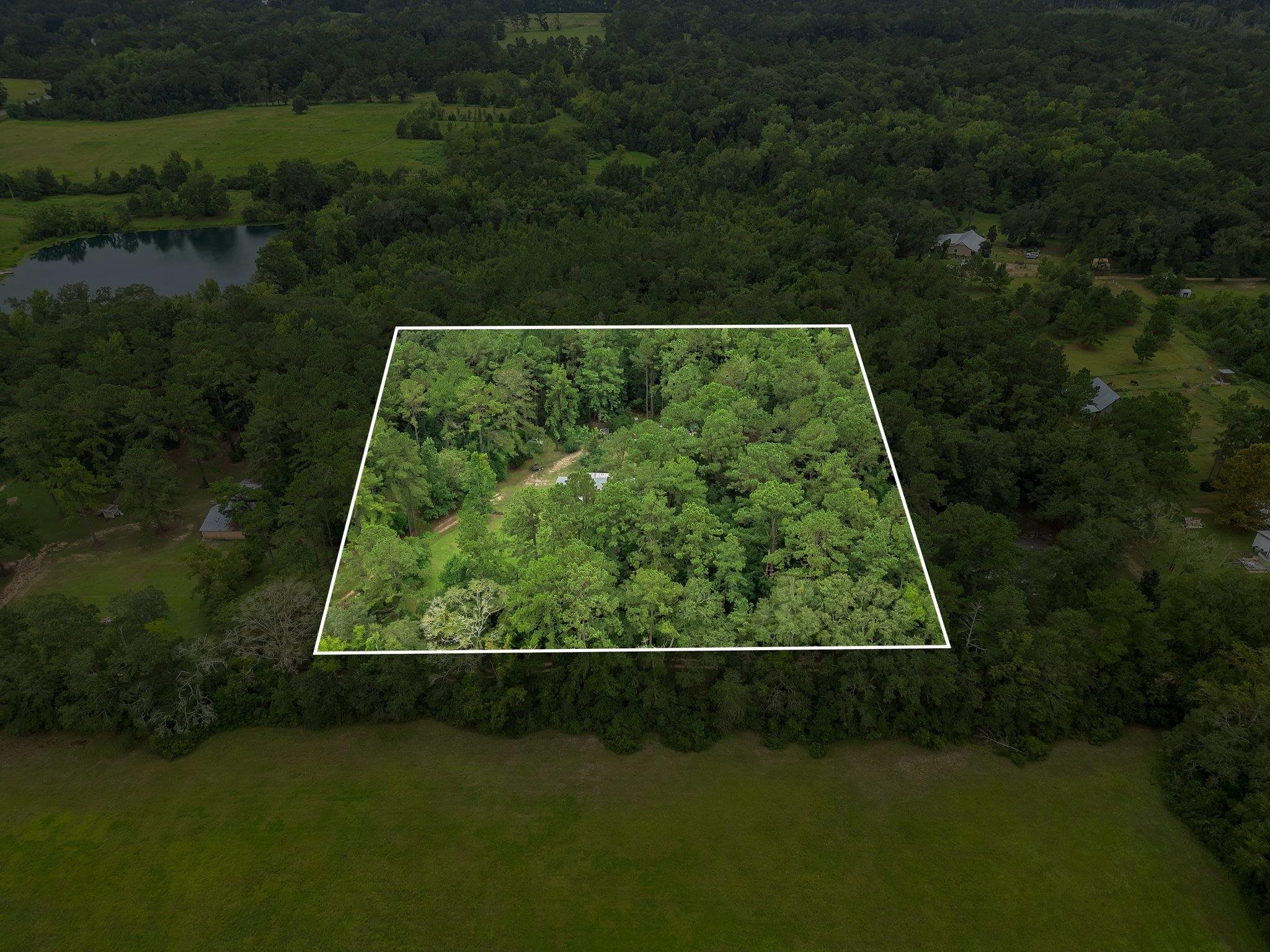 265 Ritchie Lane Havana, FL 32333 - Photo 5 of 28 Gallery Image 5