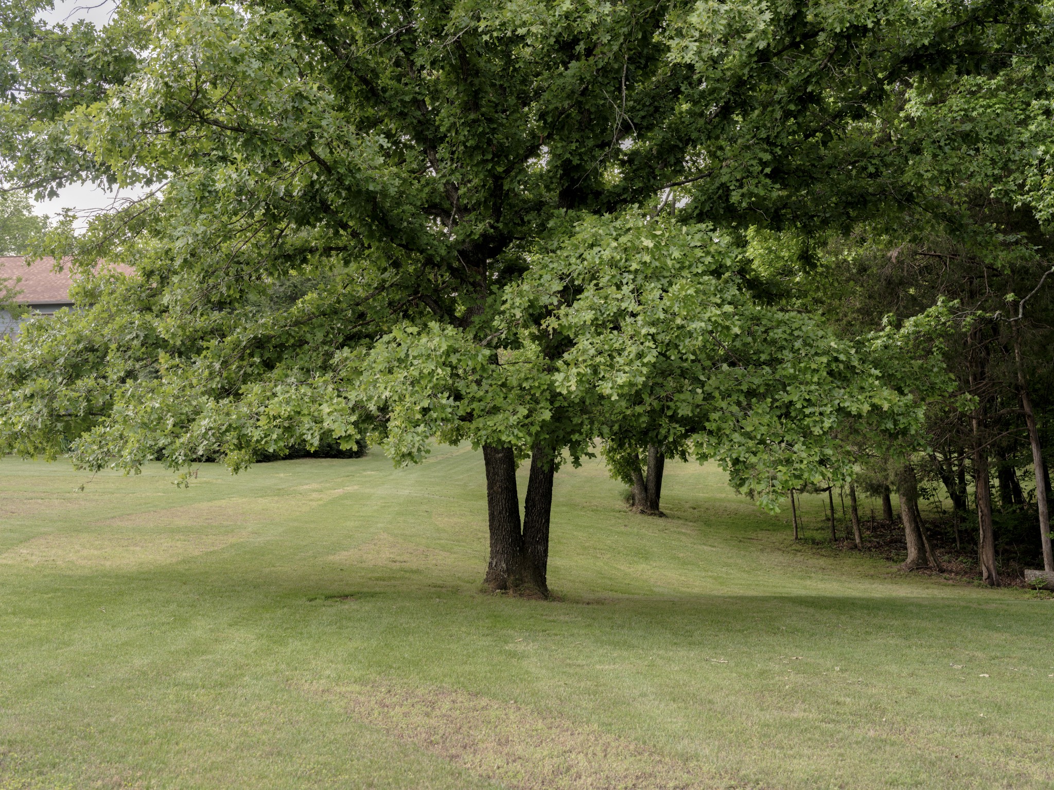 1098 Fred Gibbs Road White Bluff, TN 37187 - Photo 58 of 72 a view of outdoor space and yard