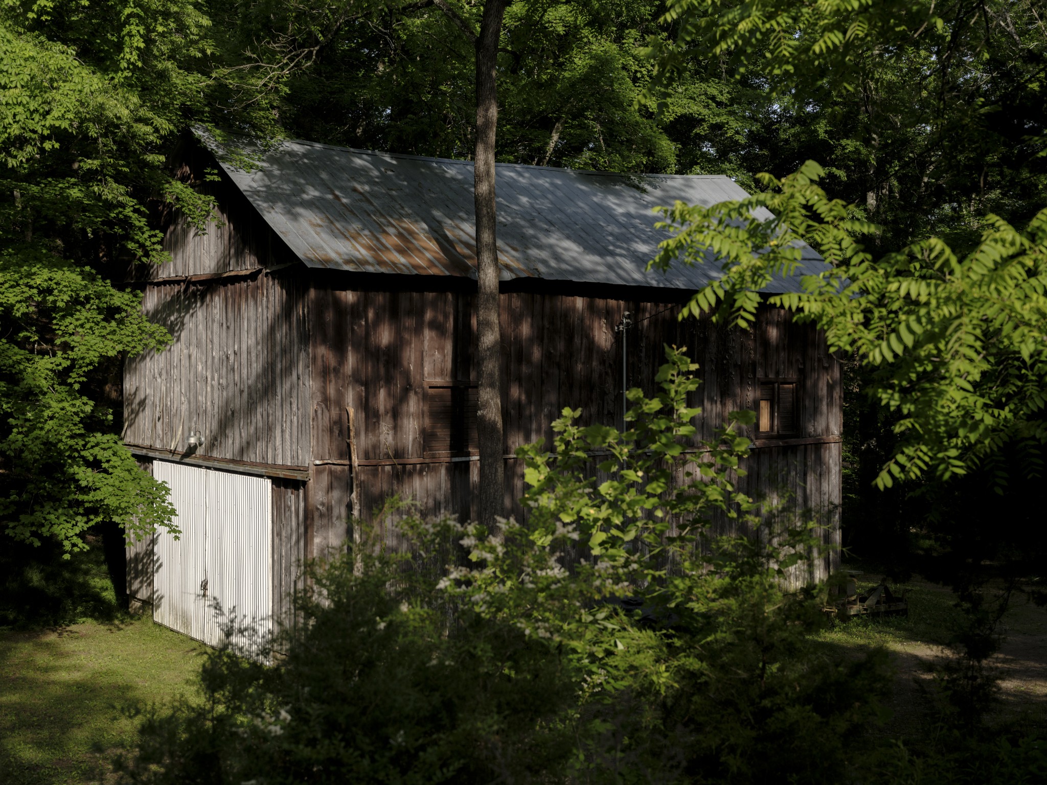 1098 Fred Gibbs Road White Bluff, TN 37187 - Photo 61 of 72 a view of a wooden house with a small yard and plants