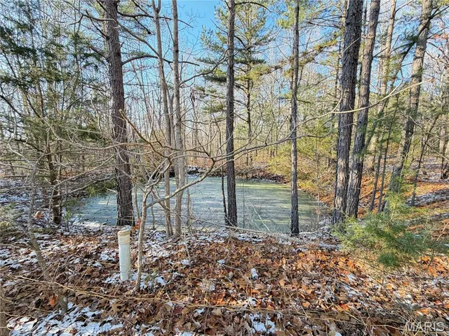 $135,000 | 16287 Roberson Drive, Houston, MO 65483