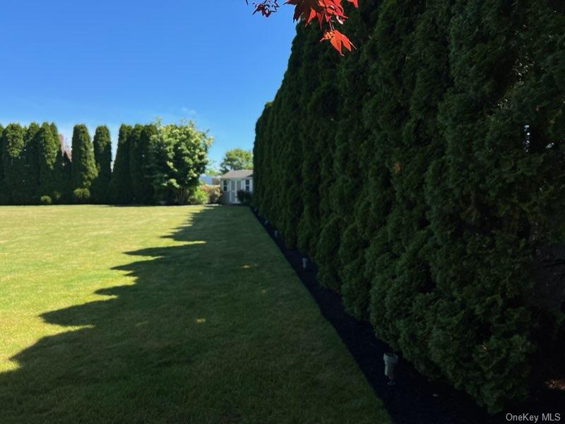 312 Riley Avenue Calverton, NY 11933 - Photo 28 of 30 Expansive green lawn bordered by a tall, dense evergreen hedge