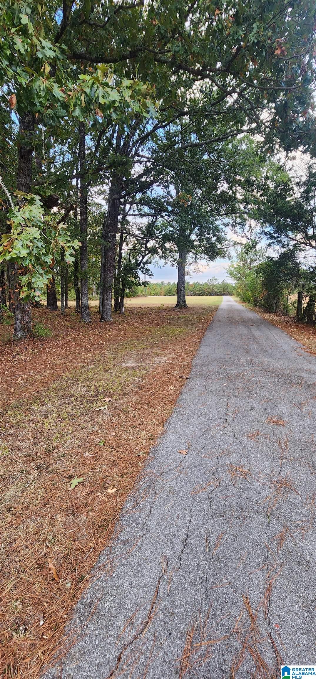 3651 Steele Station Road Rainbow City, AL 35906 - Photo 53 of 63