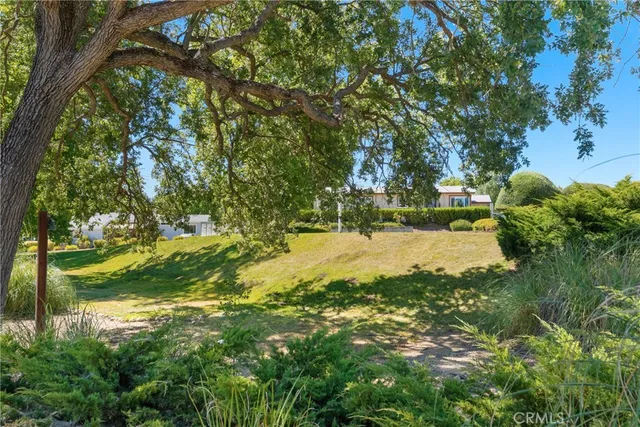 a view of yard with large trees