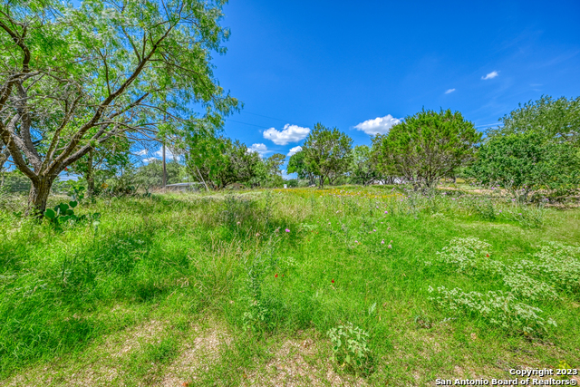 101 Princess Terrace Sunrise Beach, TX 78643 - Photo 15 of 17 a view of backyard with green space
