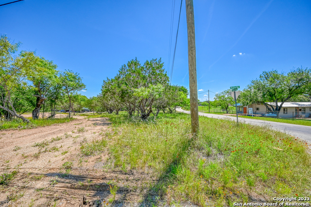 101 Princess Terrace Sunrise Beach, TX 78643 - Photo 16 of 17 a view of a garden with a slide