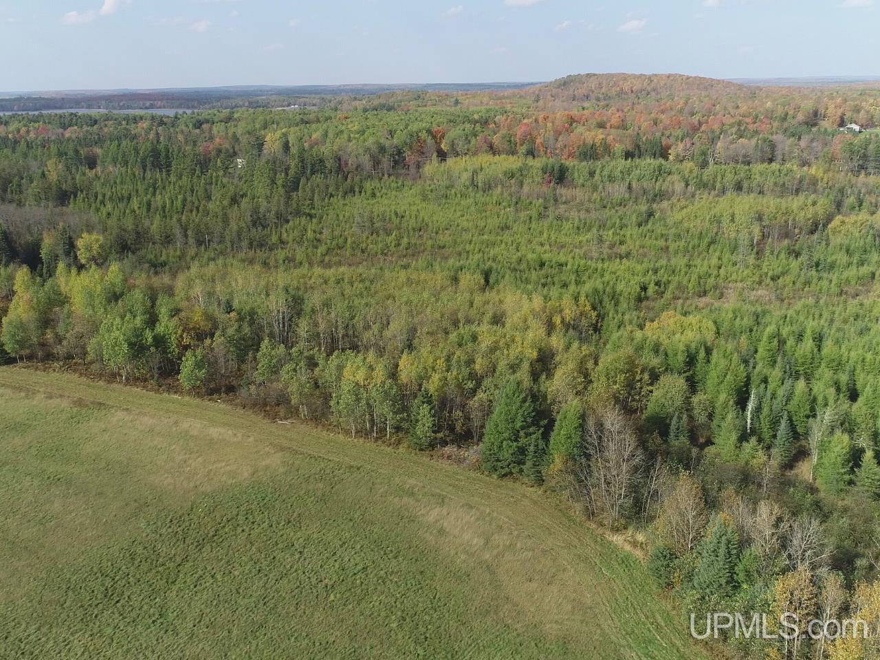 40-acres Way Dam Road Crystal Falls, MI 49920 - Photo 4 of 16