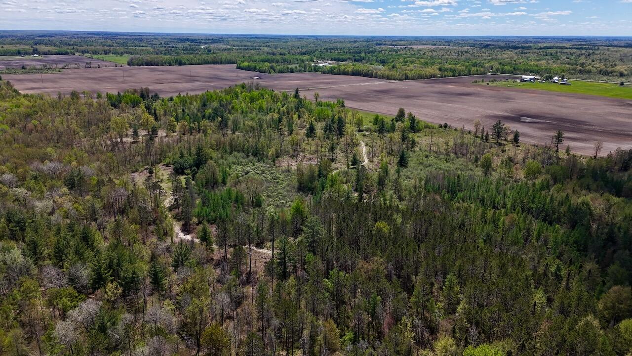 La Grant Road Alger, MI 48610 - Photo 2 of 46 002