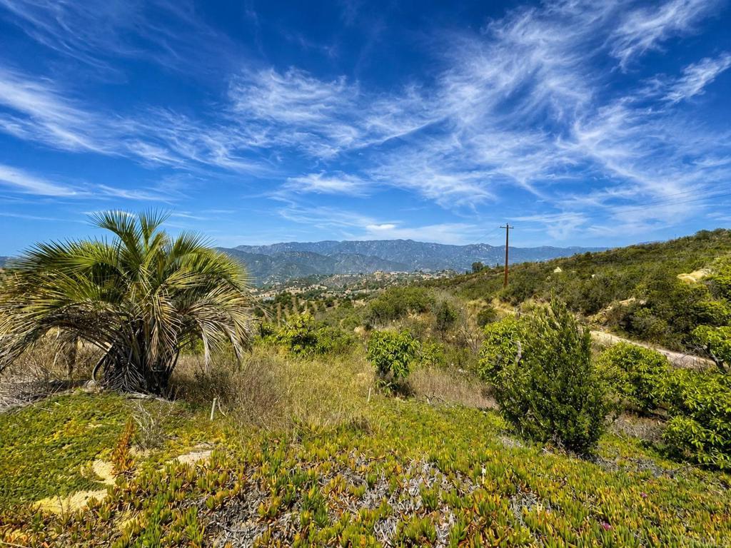 2339 Green Valley Road Fallbrook, CA 92028 - Photo 28 of 39