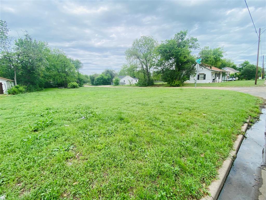 View of grassy yard