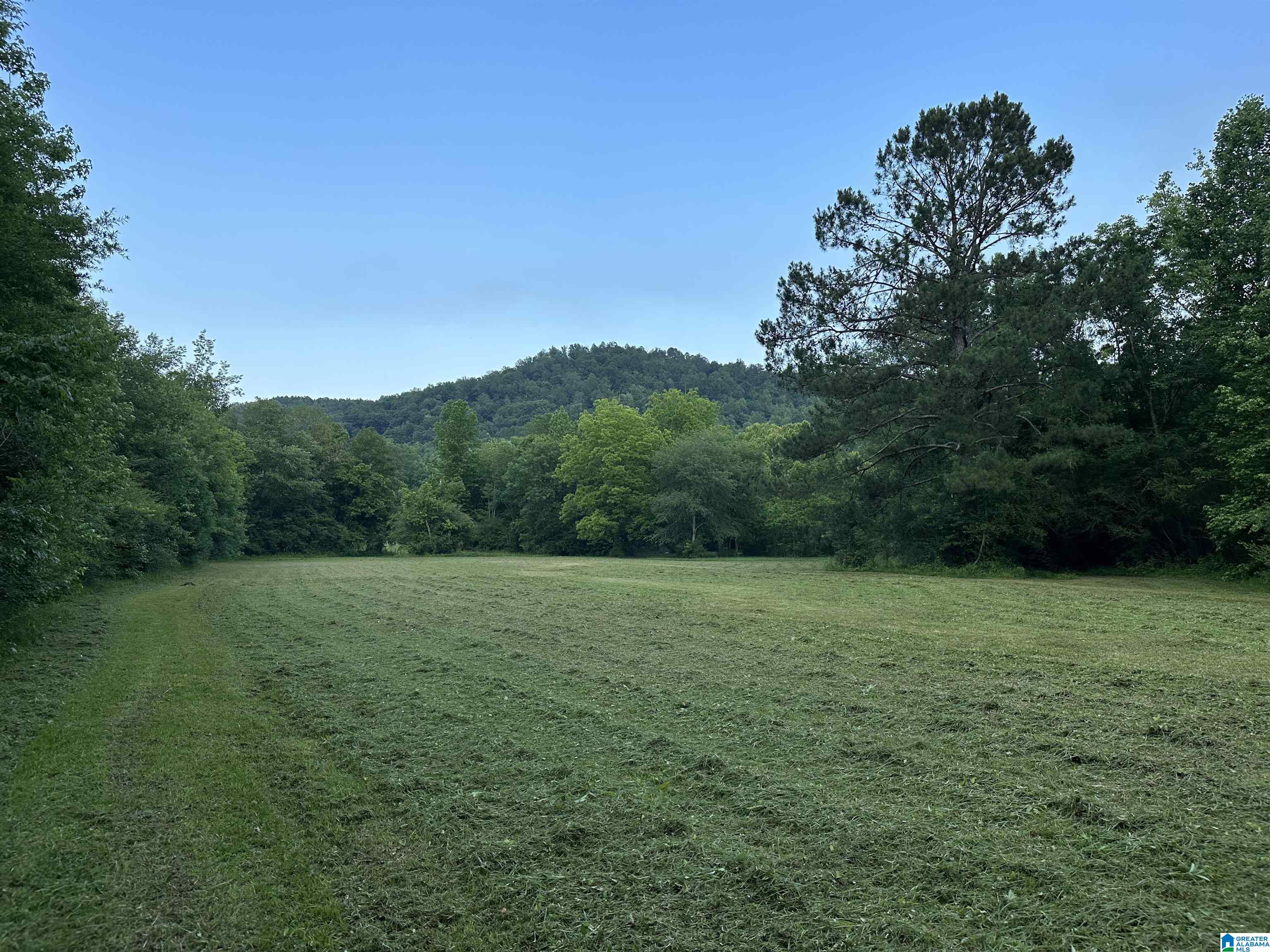 3133 Wesson Gap Road Attalla, AL 35954 - Photo 70 of 70