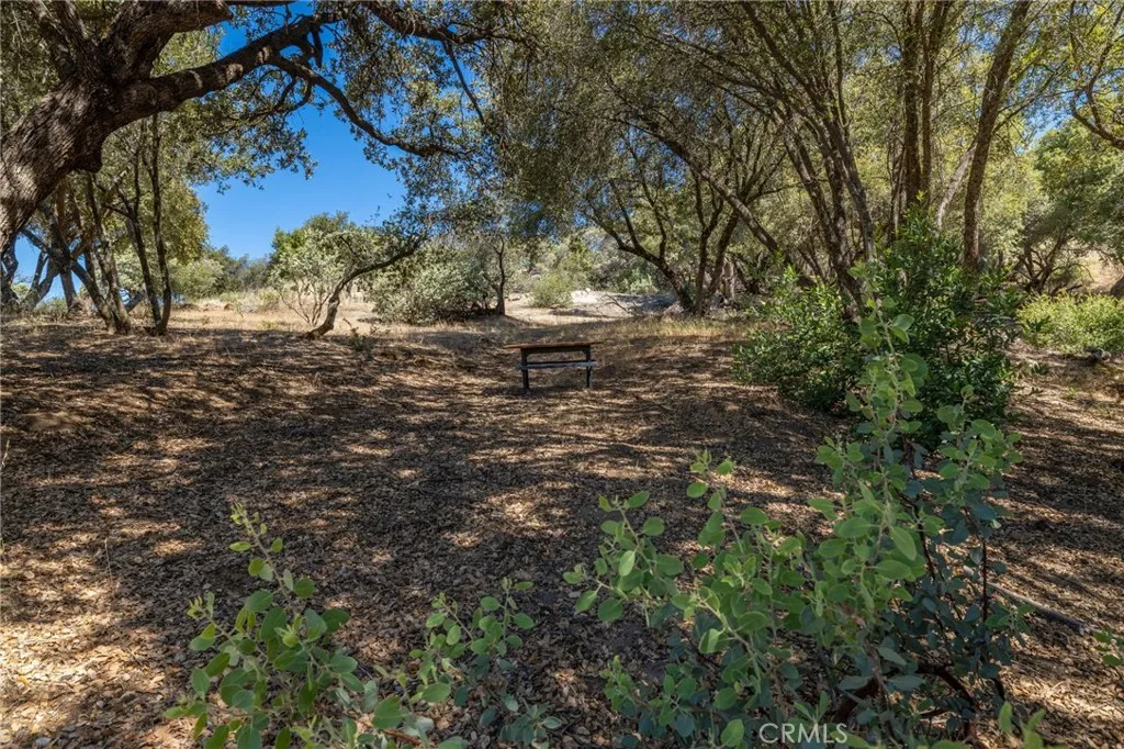 49 Old Yosemite Road Oakhurst, CA 93644 - Photo 3 of 41