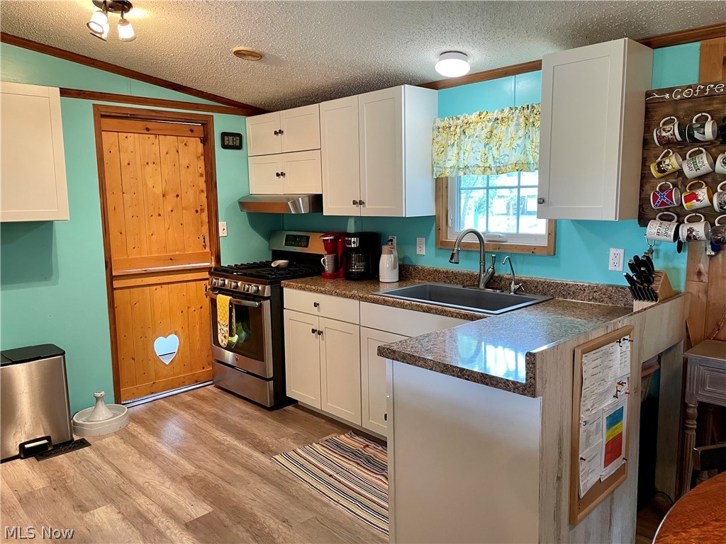 Updated kitchen includes newer stainless fridge & range