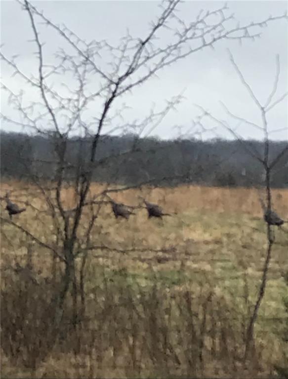 Thomas Road Prescott, KS 66767 - Photo 13 of 16
