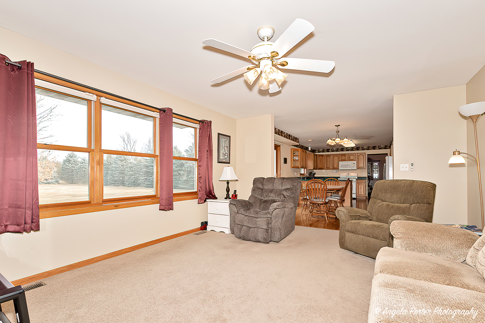 814 Suzanne Lane Spring Grove, IL 60081 - Photo 14 of 45 a living room with furniture and a large window