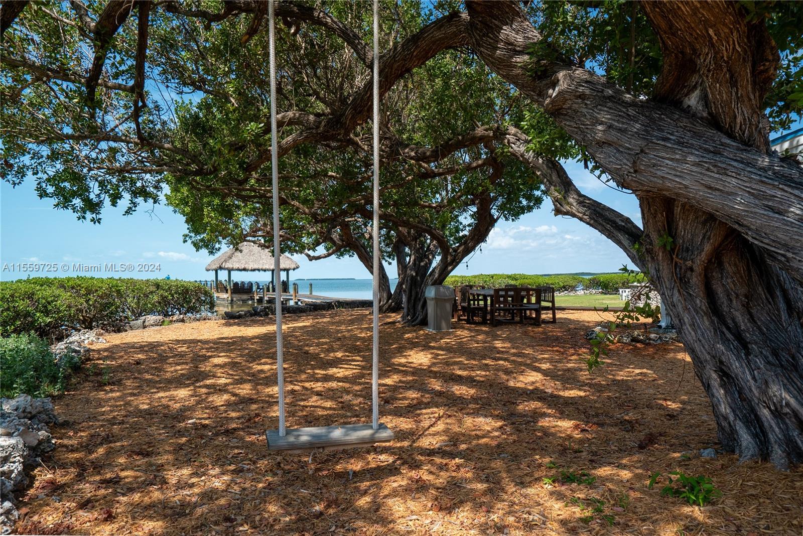 209 Sanctuary Dr., Unit 209 Key Largo, FL 33037 - Photo 36 of 43 a view of a large trees with an outdoor space