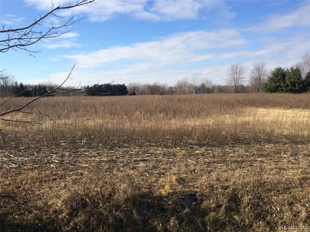 D1 Hollow Corners Road Almont, MI 48003 - Photo 2 of 4 Gallery Image 2